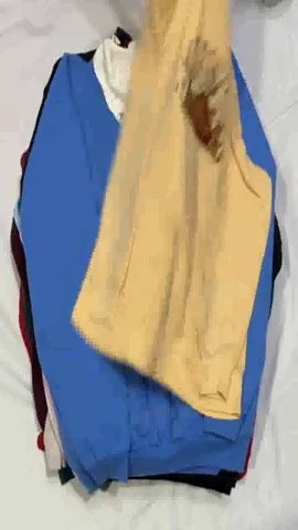 Embroidered Sweatshirt 22 Pieces