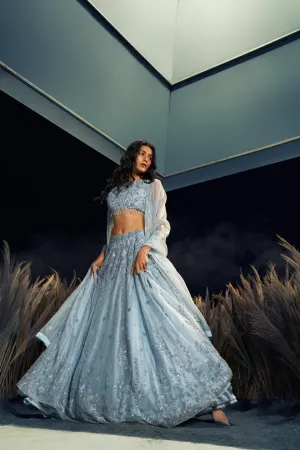 Powder Blue Organza Embroidered Lehenga Set