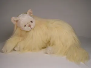 "Goldilocks" Angora Cat