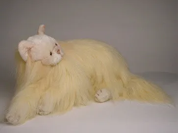 "Goldilocks" Angora Cat