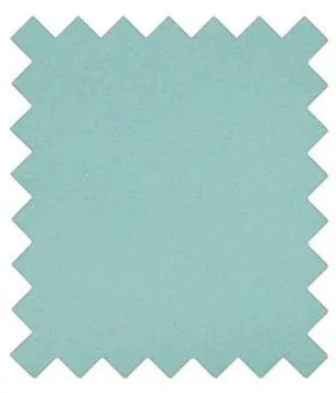 Robin Egg Blue Wedding Swatch