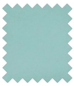 Robin Egg Blue Wedding Swatch